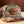 Richardson 112P Camo Custom Leather Patch Hat - C. Richard's Leather  
